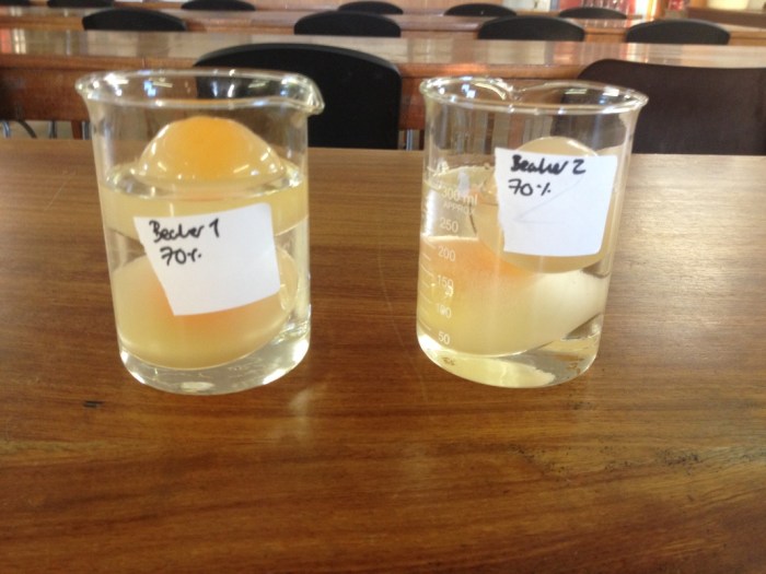 Egg osmosis lab report pdf