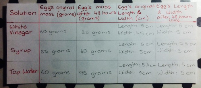 Egg osmosis lab report pdf