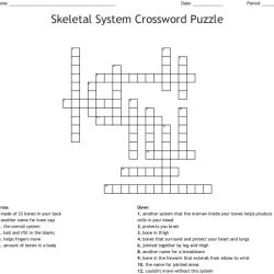 Skeletal system crossword puzzle answers