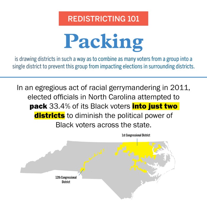 Senate redistricting representation districts