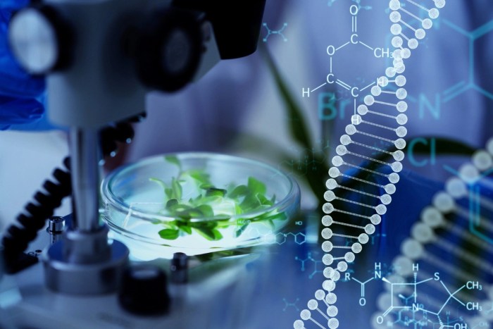 Biotechnology and genetic engineering webquest